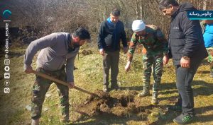 گزارش فعالیت های منابع طبیعی کلاردشت