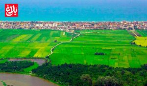 ادعاهای نظامی دشمن خطای محاسباتی است